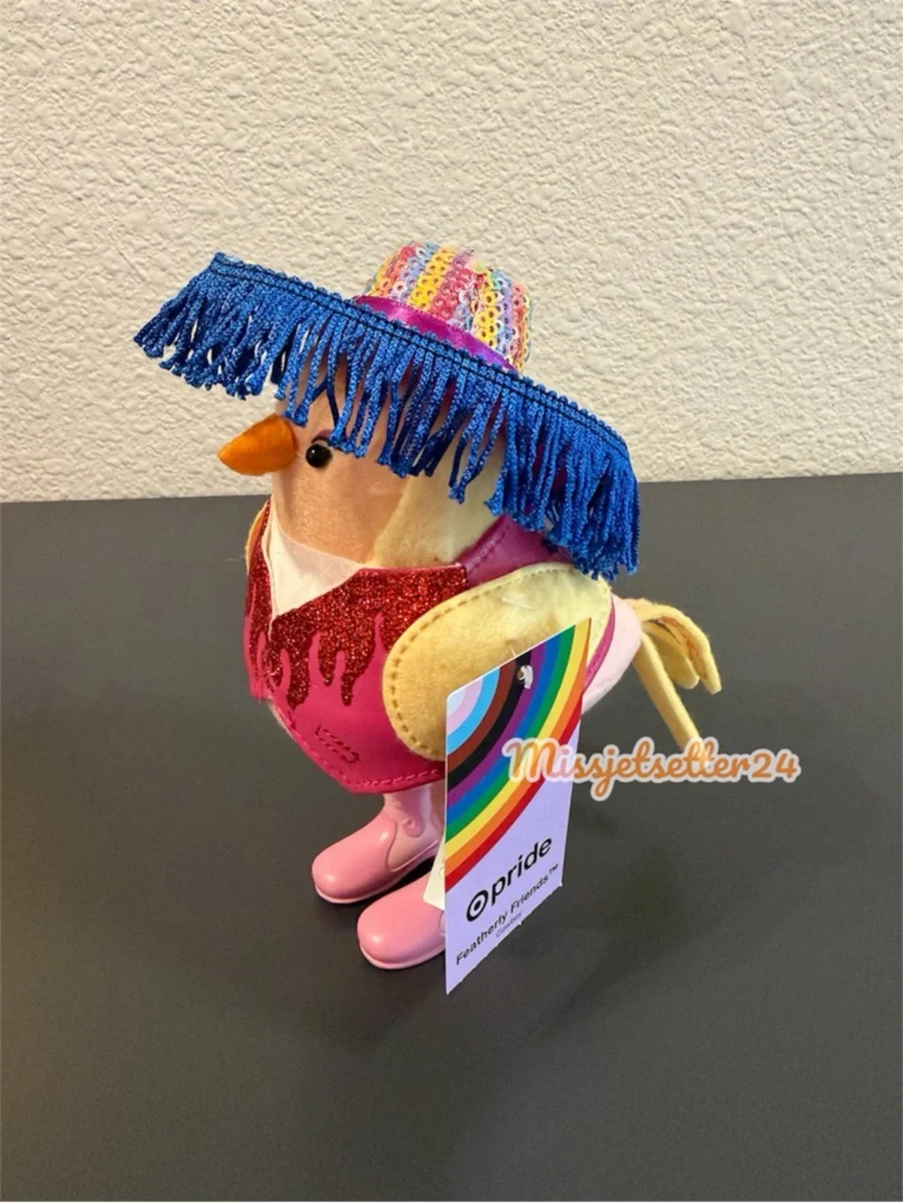 Target Featherly Friends PRIDE Chappell Roan Cowgirl Bird New Western Rainbow